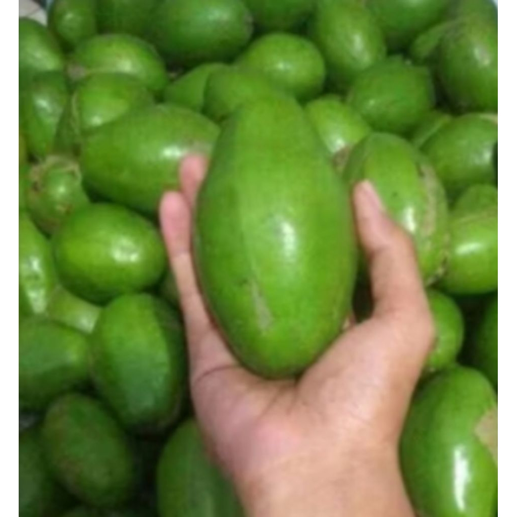 BUAH DONDONG/KEDONDONG SEGAR 1 KG