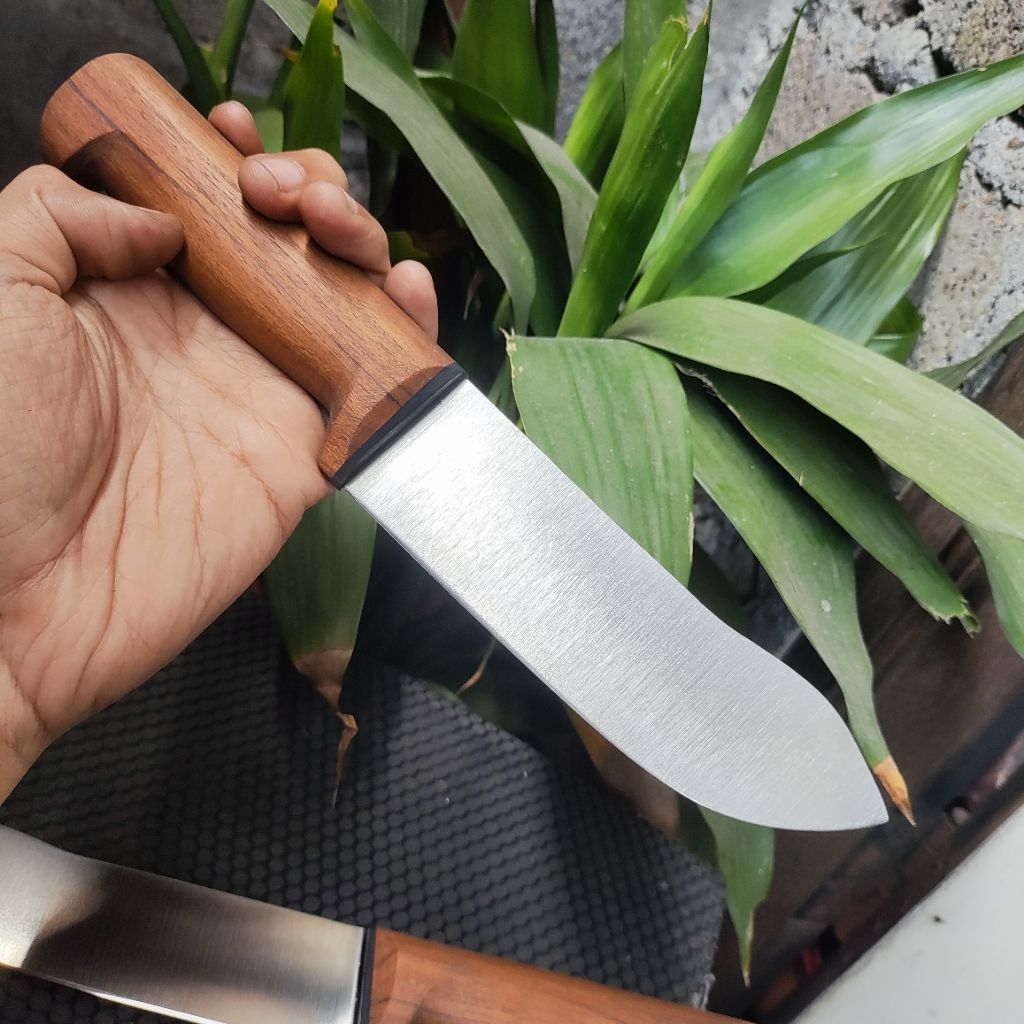 pisau sembelih unggas model bulnos d2