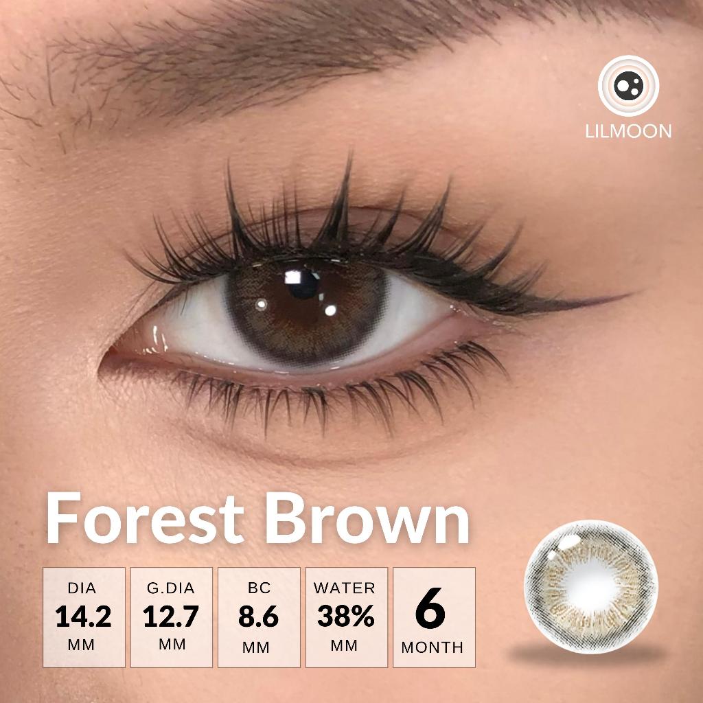 [Fuji Favorite] Lilmoon Softlens Kualitas Jepang softlens minus (0 sd -8.50) Warna Baru - Forest Bro