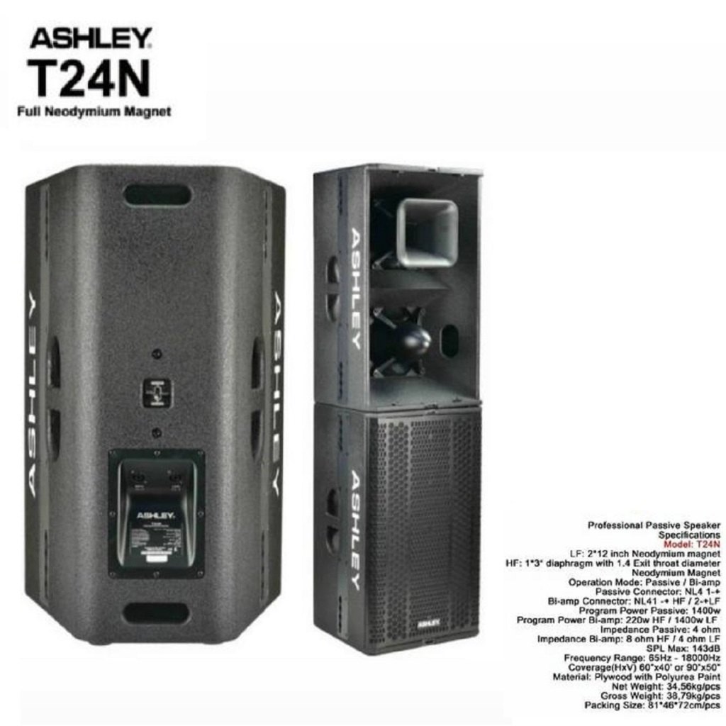 speaker pasif ashley T24N T 24N T 24 N 2x12 neodymium magnet Original