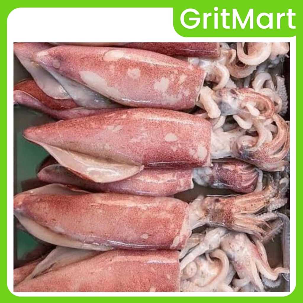 Cumi Basah Besar | Cumi Basah Gede 500 gr