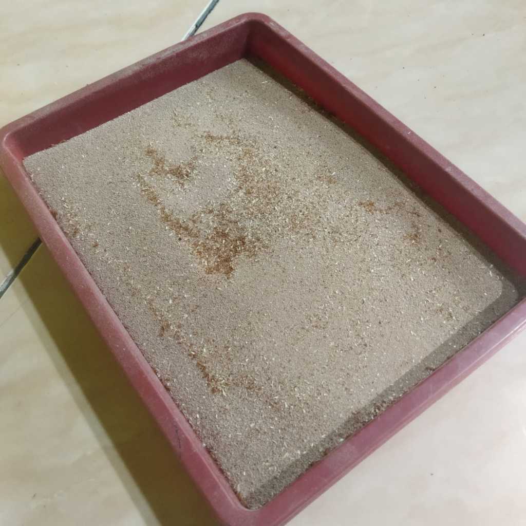 Limbah Ulat hongkong 1 Kg