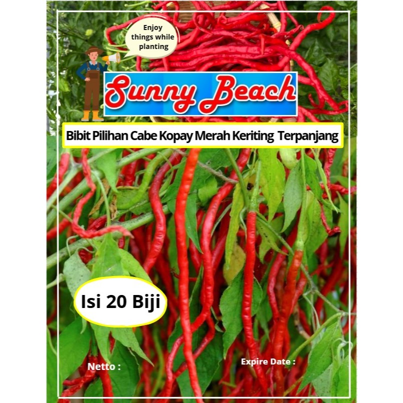 Bibit Pilihan Cabe Kopay Merah Keriting Terpanjang | Biji Benih Cabe Kopay | Cabe Kopay