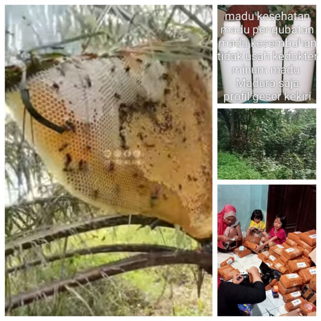 

madu murni madu Madura manis lezat kas bunga2 tuk kesehatan hrga per 750grm