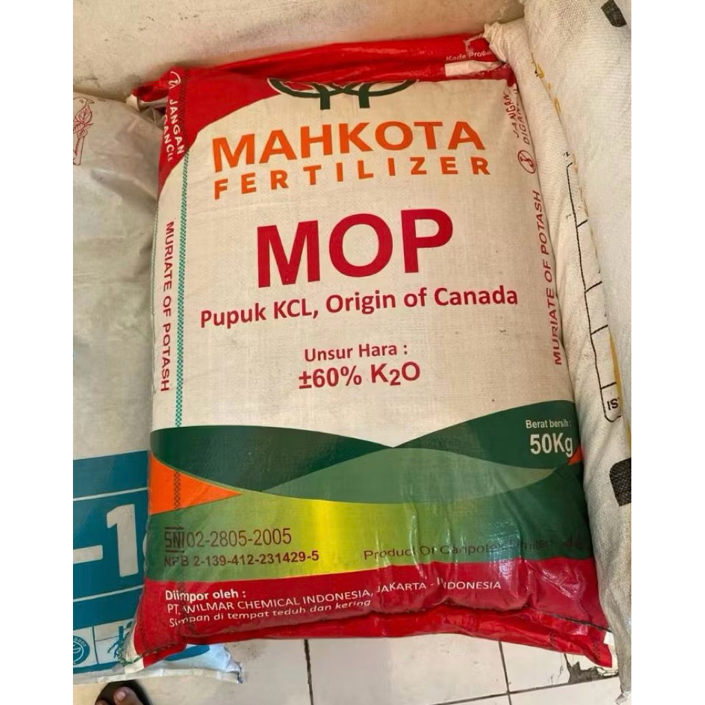 Pupuk KCL MAHKOTA MOP 10KG 15KG 25KG 50KG