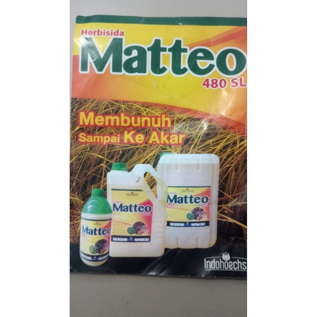 Matteo 480 SL herbisida obat rumput ampuh sampai ke akar. Isi 1 liter