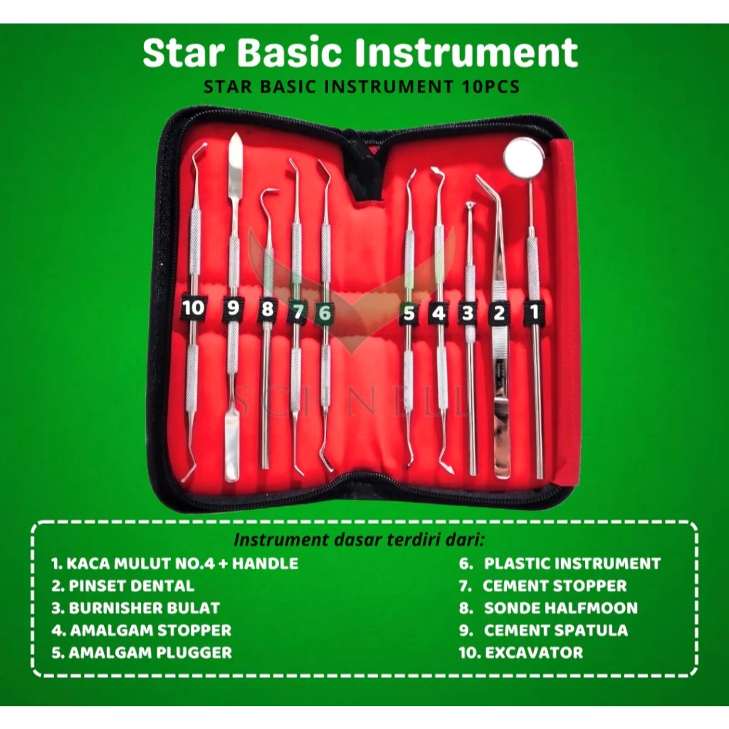 STAR Diagnostic Set Instrument Dental 10 pcs (Basic Instrumen Dasar)/Dental Instrumen Mahasiswa FKG/