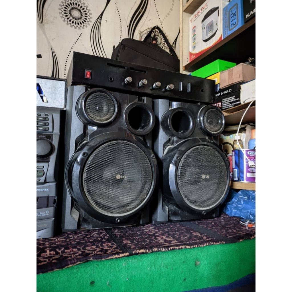 Speaker LG 6 Inch Pasif