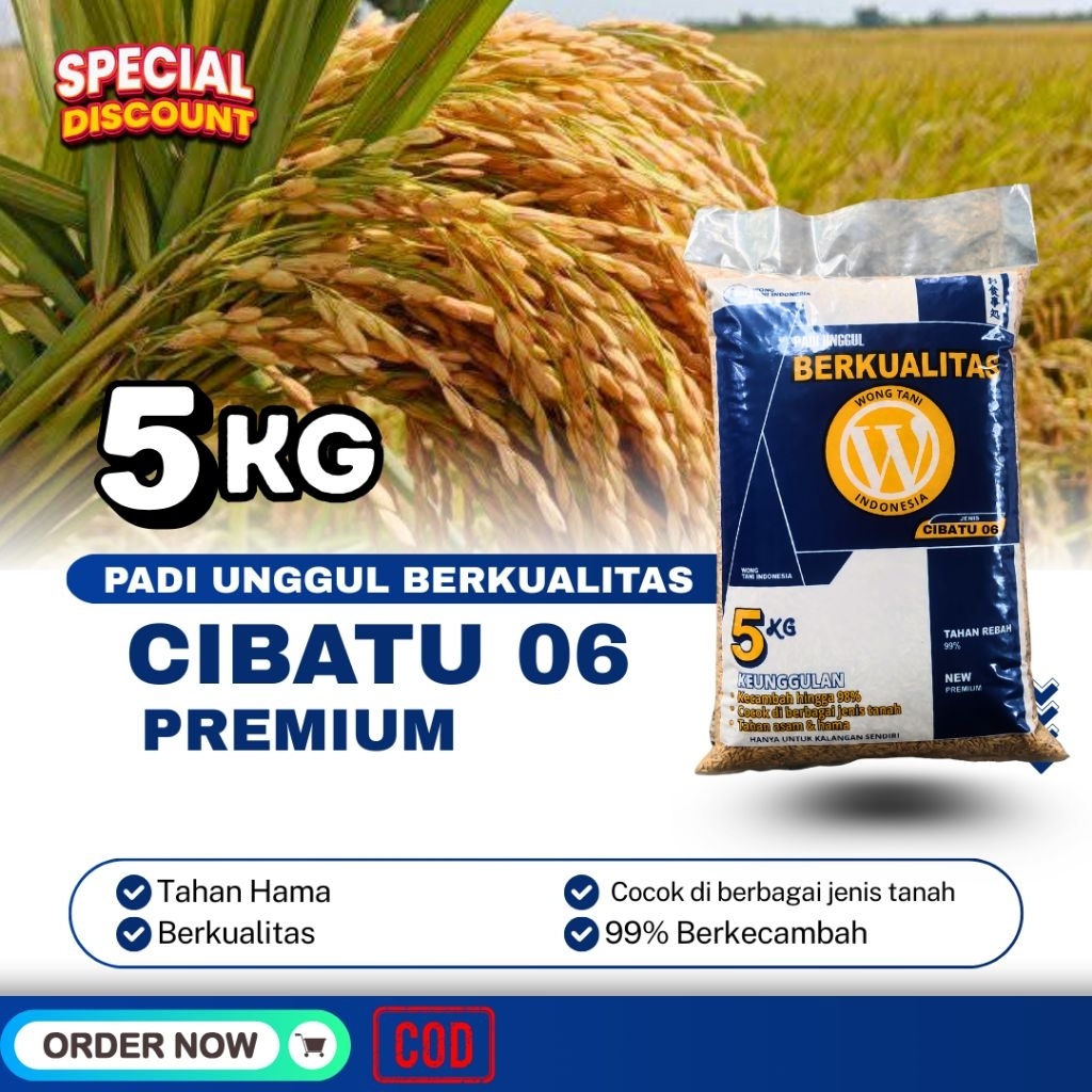 PADI GALUR UNGGUL CIBATU 06 PADI TAHAN ROBOH 5kG