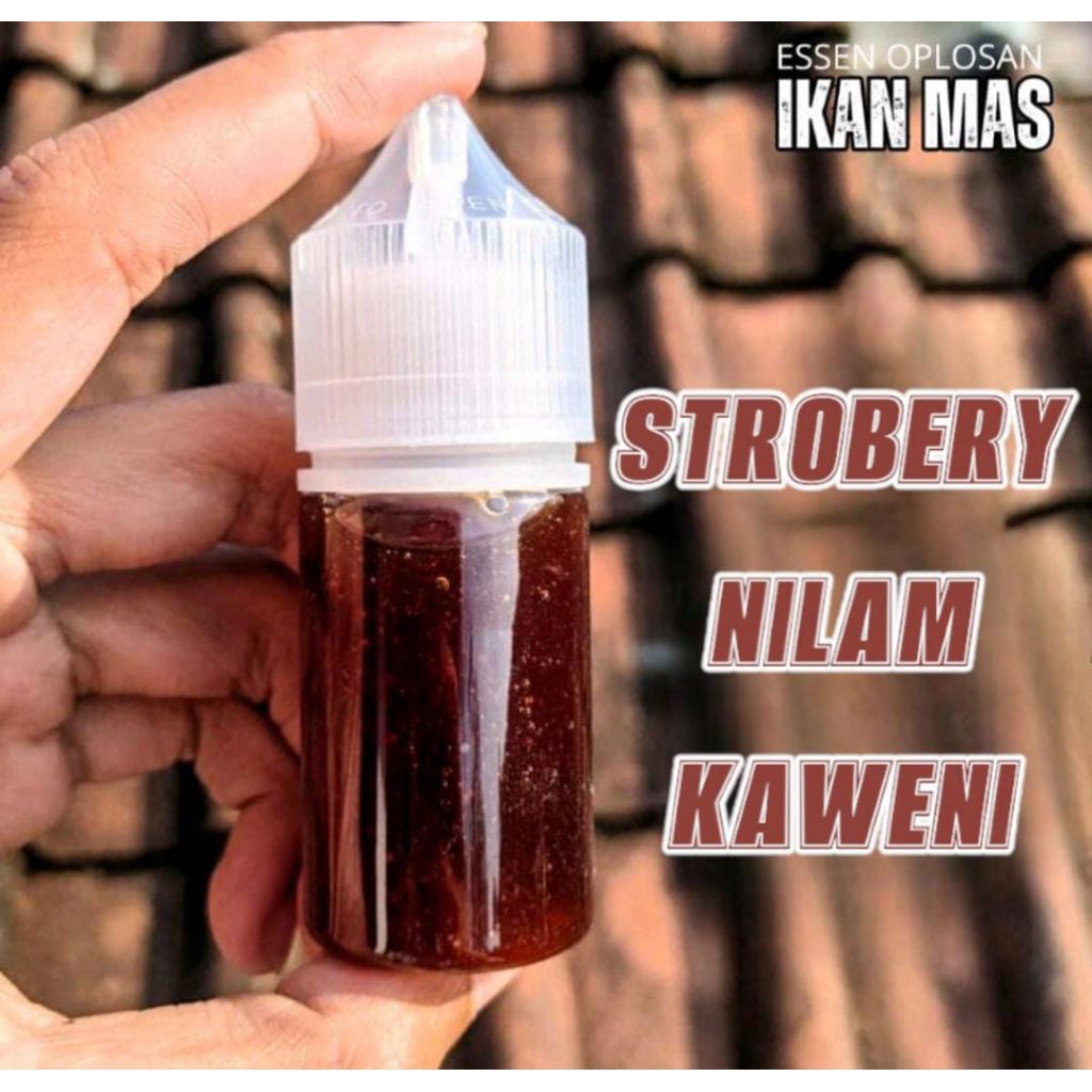 Essen ikan mas paling gacor aroma stroberi nilam kaweni  Essen ikan mas amis wangi, esen ikan mas in