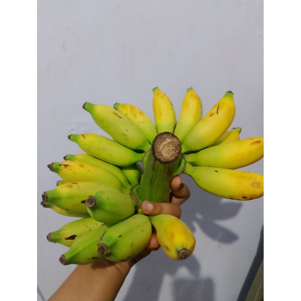 

Pisang Barlin