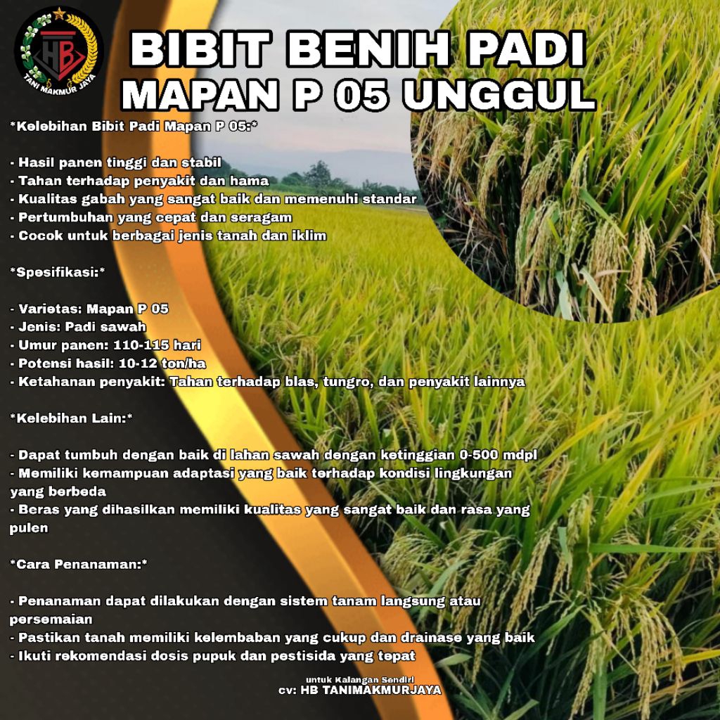 BIBIT BENIH PADI MAPAN P05 UNGGUL KEMASAN 3KG