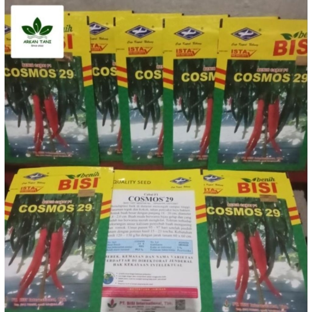 Benih Bibit Cabai Besar Hibrida Cosmos 29 F1 10gr 10 gr Biji Cabe BISI