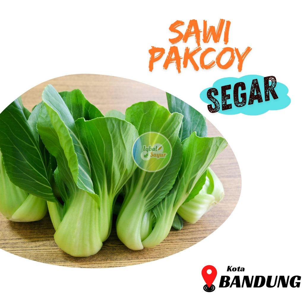 

Pakcoy Segar Murah Bandung