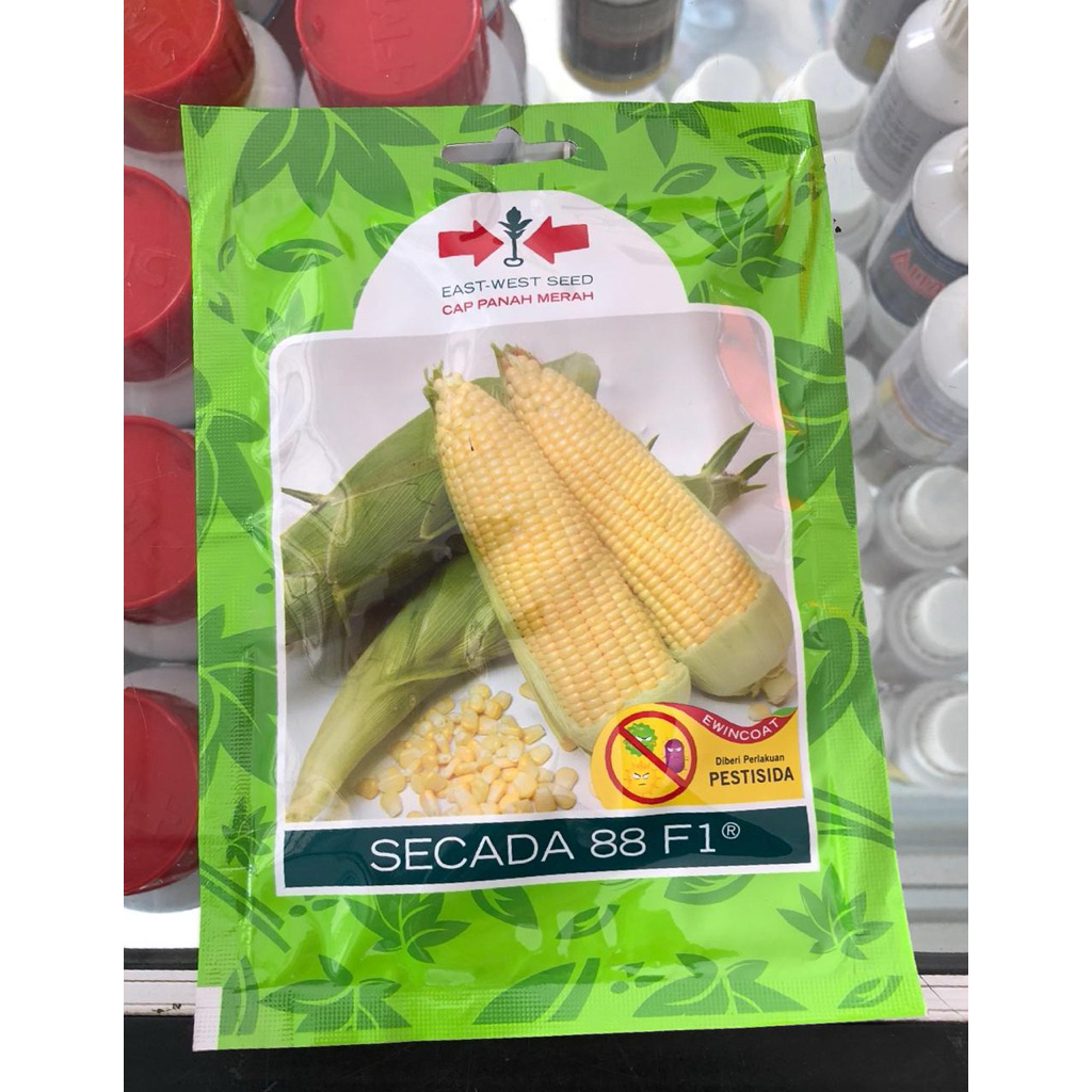 Benih Jagung Manis SECADA 88 F1 SP isi 200 butir