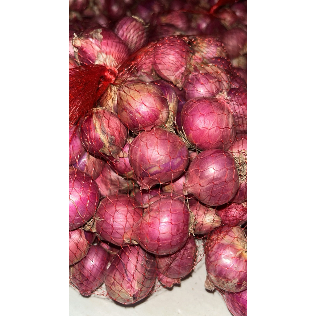 BAWANG MERAH LOKAL JUMBO