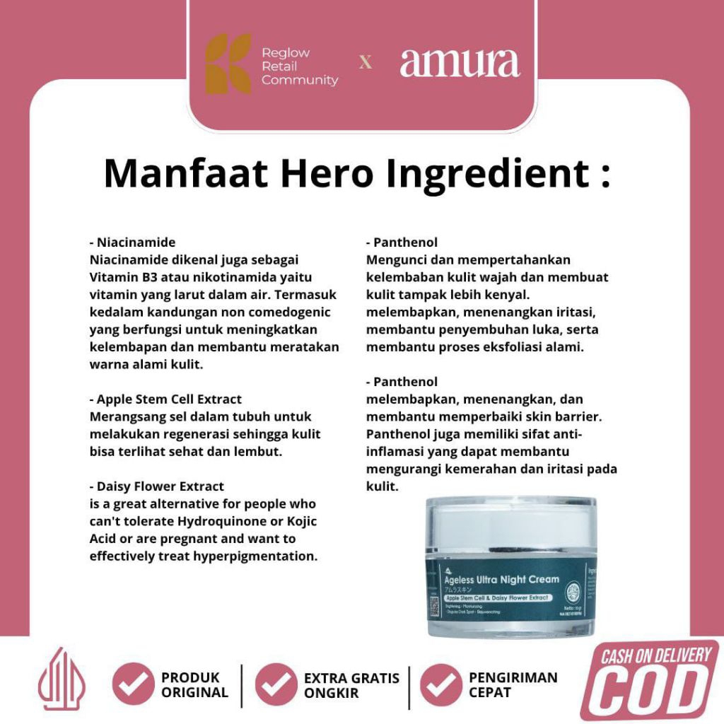 [COD Bisa] Amura Ageless Ultra Night Cream – Krim Malam Anti Aging, Melembapkan & Mencerahkan Night 