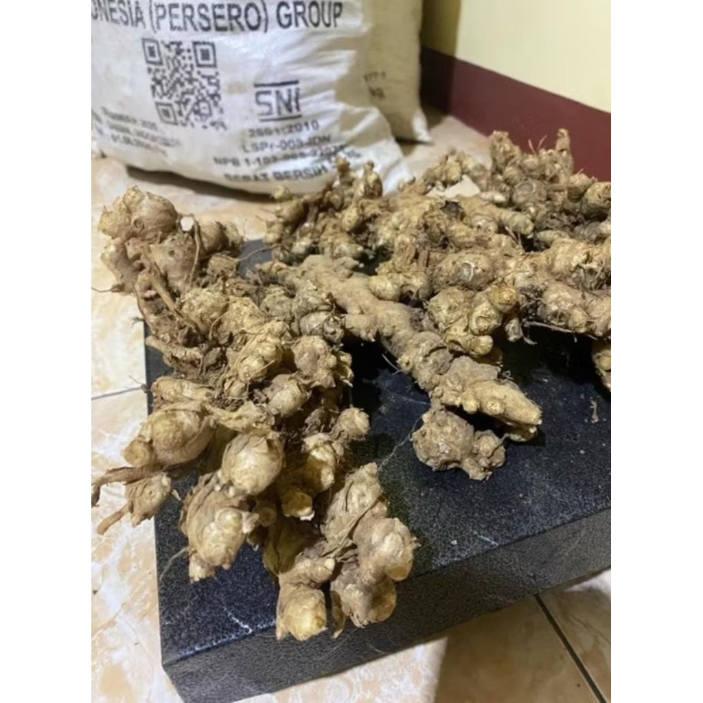 

Jahe Emprit Segar Kualitas Baik 1kg