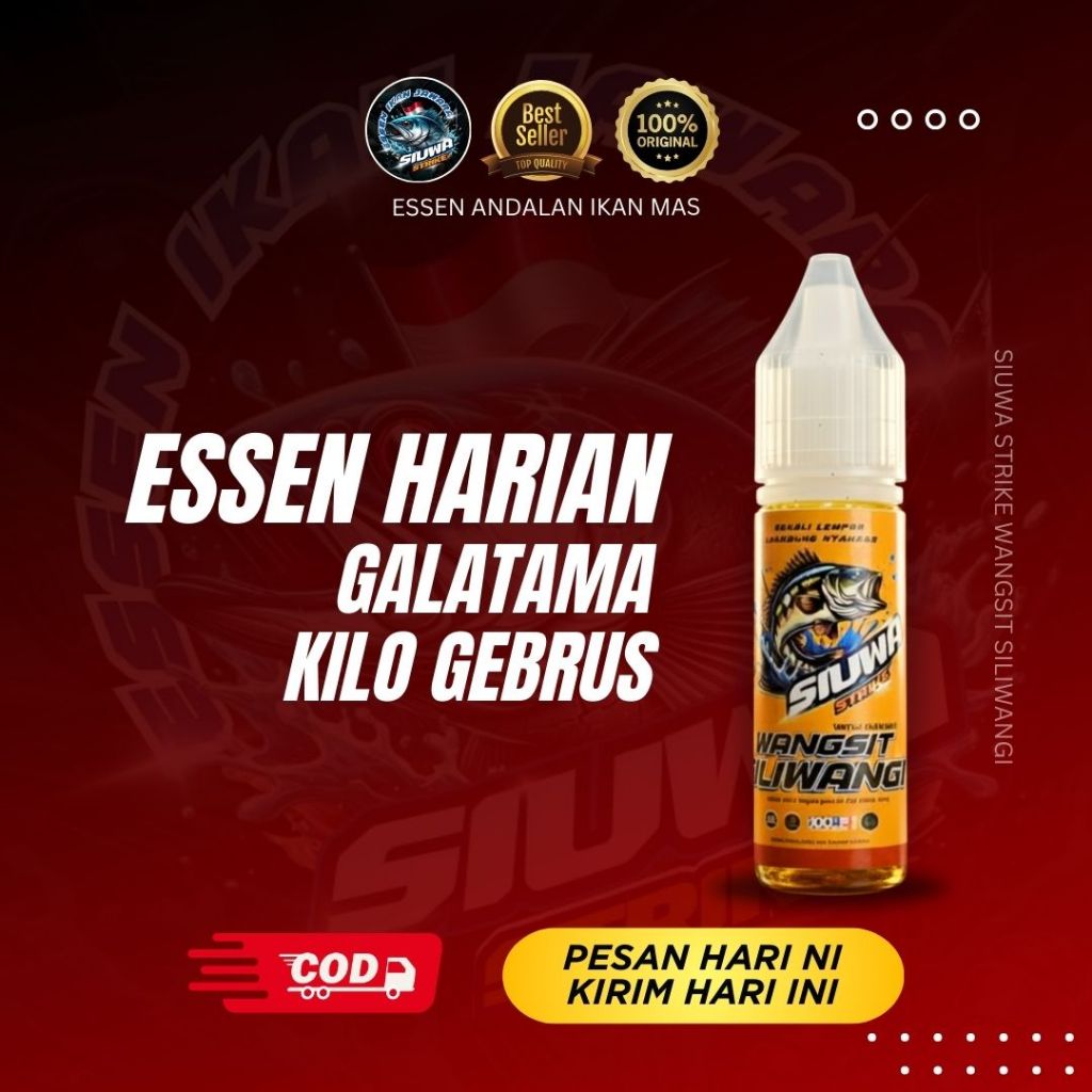 Essen Jitu Ikan Mas Khusus Malam Hari Ampuh Galatama & Harian