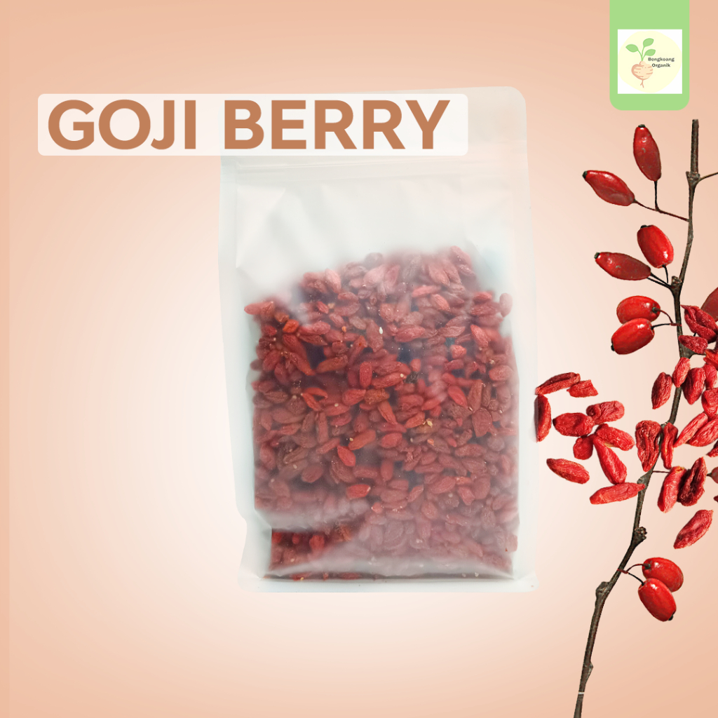 Dried Goji Berry 250gr - Buah Goji Berry Kering