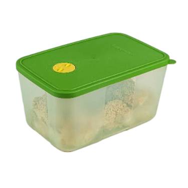 Tupperware Medium Freezermate