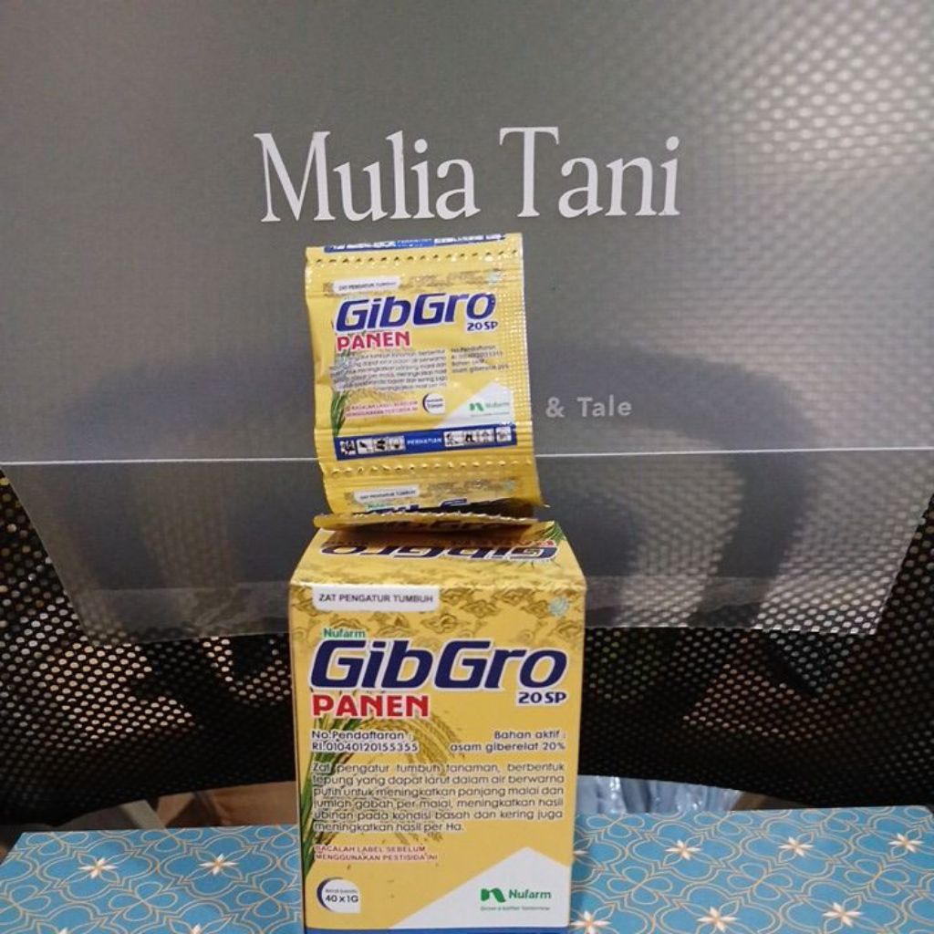Gibgro 20sp-Panen