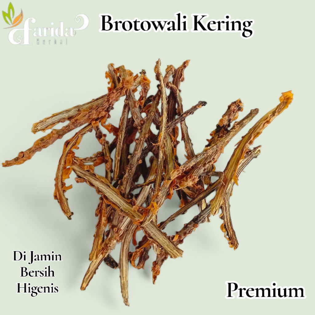 Brotowali Kering Grade A1kg/Asli Murni Brotowali kering 1kg