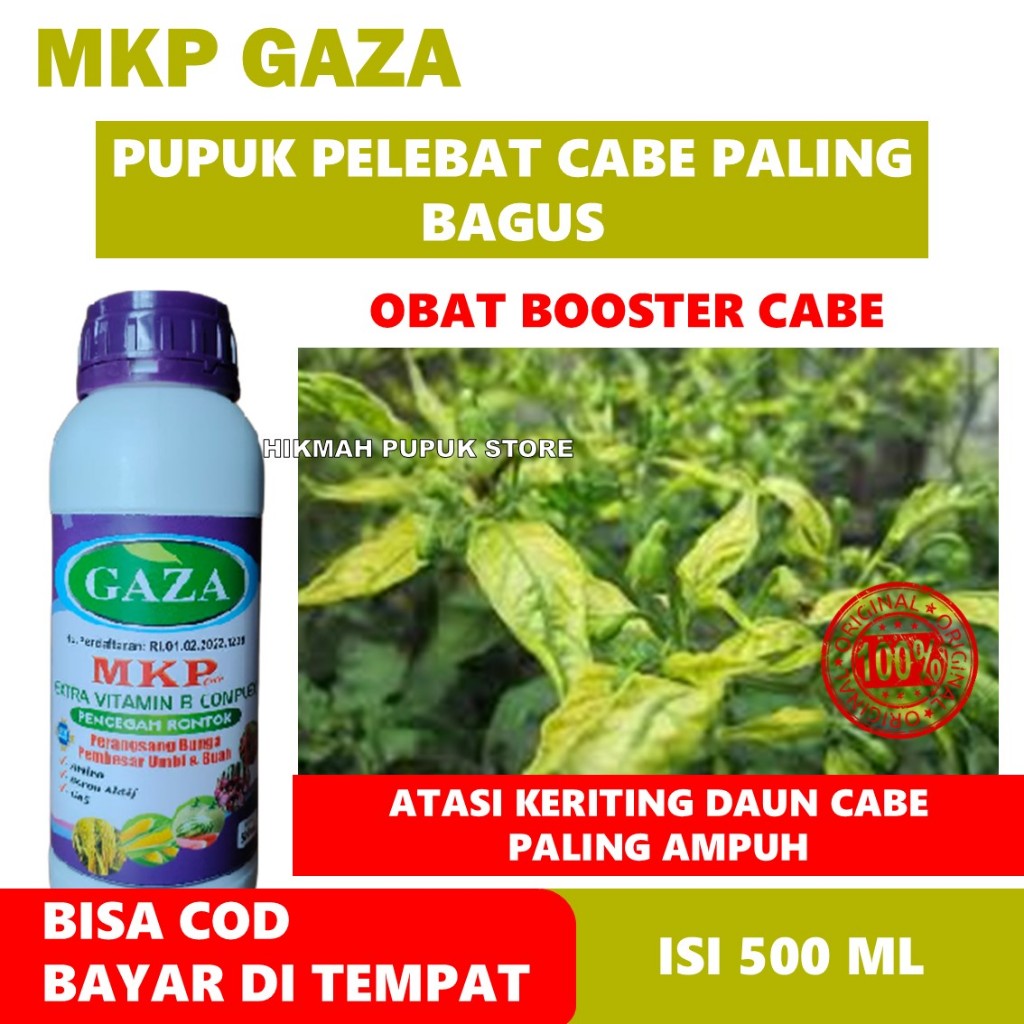 MKP Gaza Pupuk Pelebat Buah Cabe | Perangsang Bunga & Buah Cepat Panen