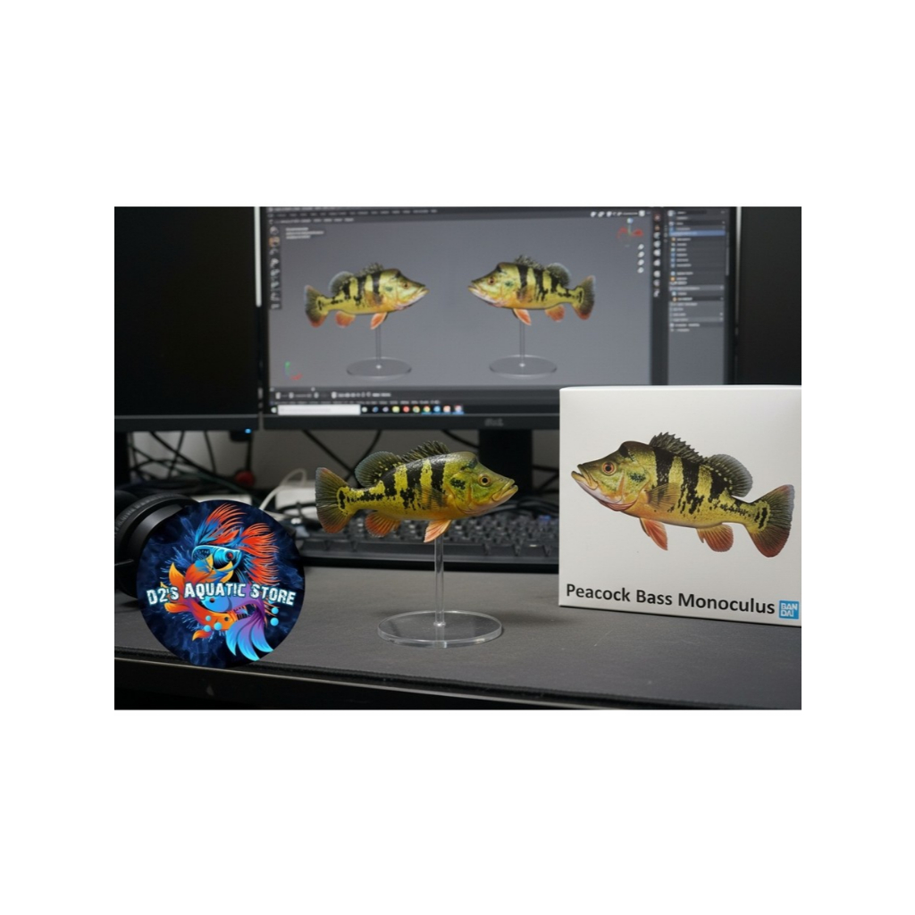 Hiasan Aquarium Peacock Bass Monoculus Pelet