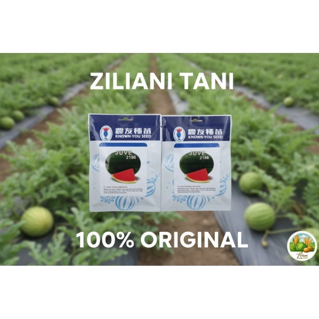 Bibit Semangka Juve AM 300 SD