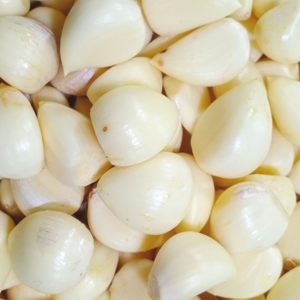 BAWANG PUTIH SINCO KUPAS SEGAR | BAWANG PUTIH SINCO KUPAS PREMIUM | BAWANG SINCO KUPAS PRAKTIS HIGIE