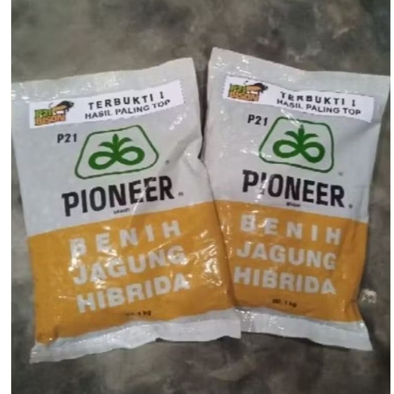 BENIH JAGUNG HIBRIDA PIONEER P21 KEMASAN 1 KG