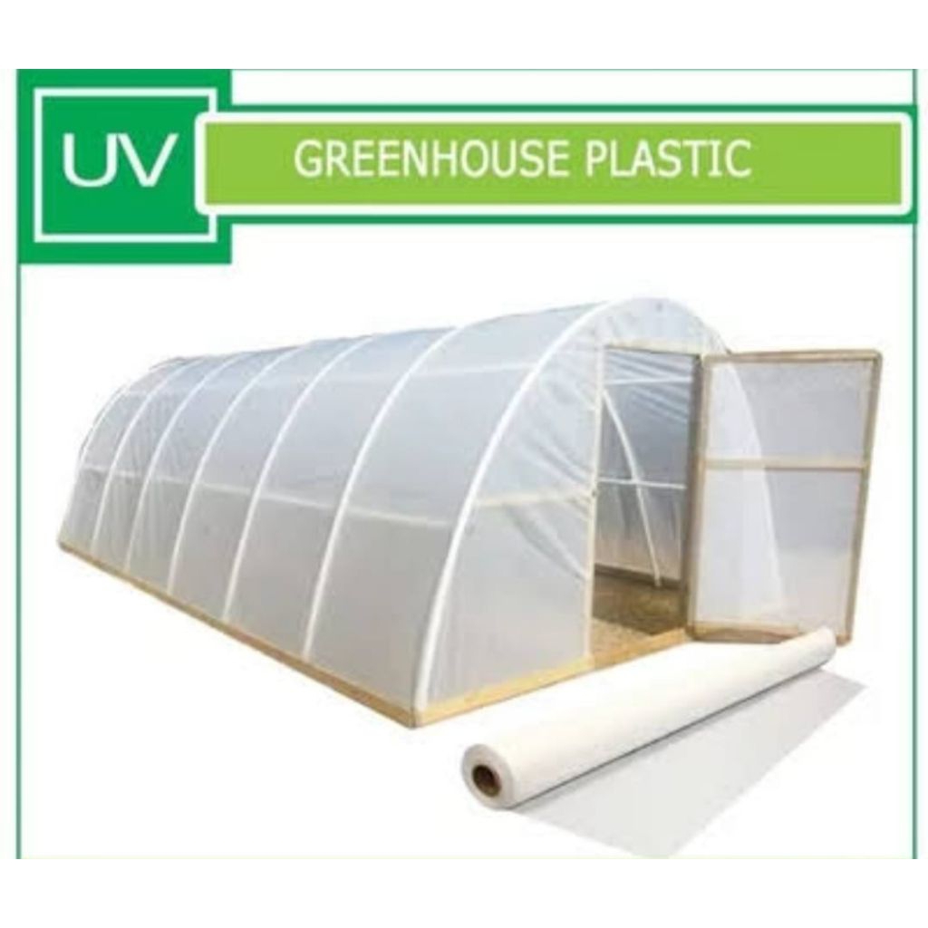 Pelastik Uv 7X8 Meter Tanpa sambungan Tebal 200 micron
