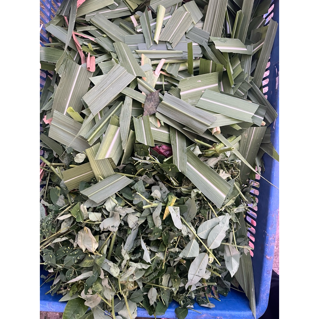 Rumput cacah mix indigofera 10kg