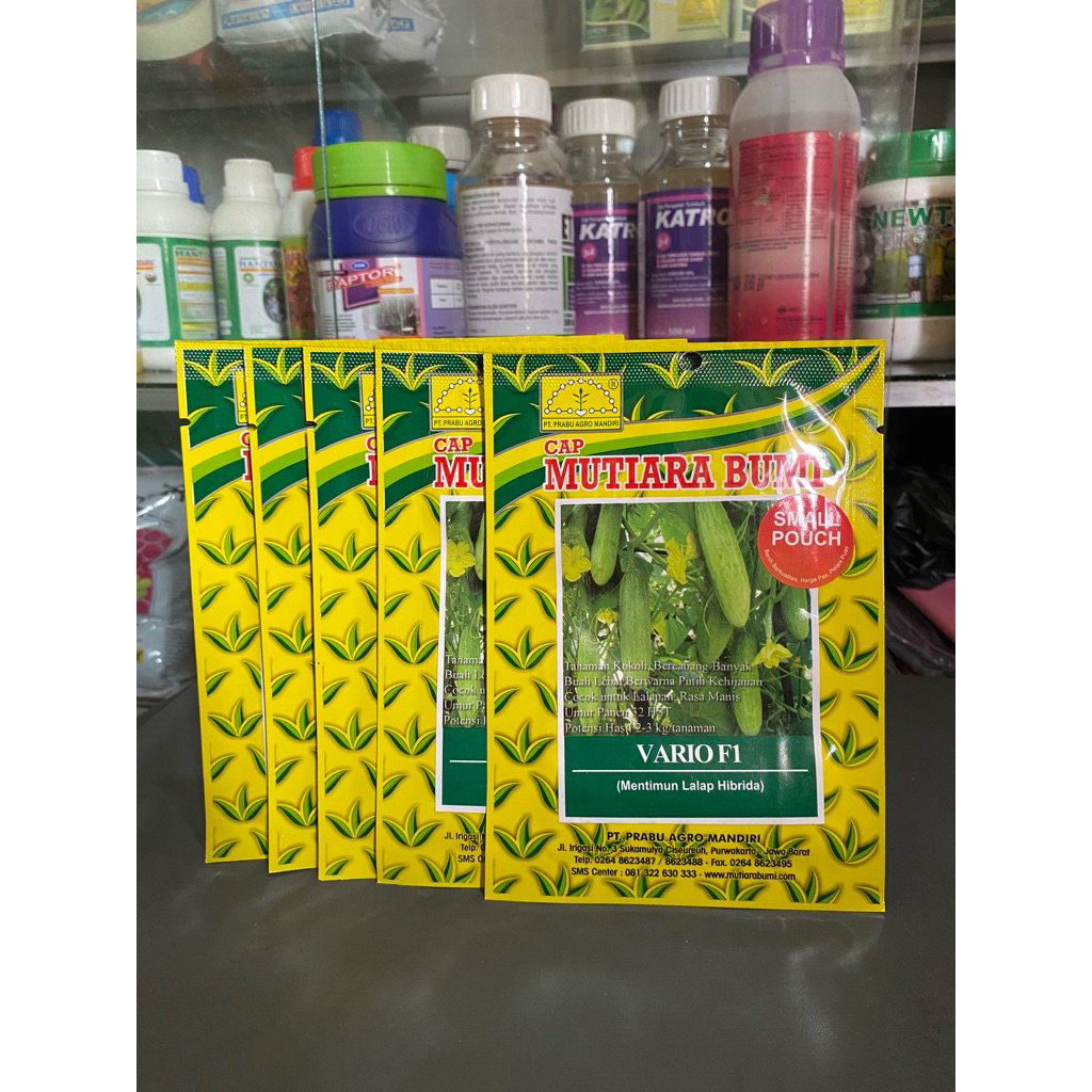 Mentimun lalap cap Mutiara bumi