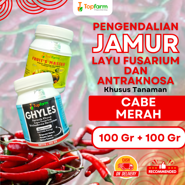 Fungisida Pembasmi Jamur Tanaman Cabe Merah/ Fungisida Obat Jamur Pada Tanaman Cabe Merah/ Obat Meng