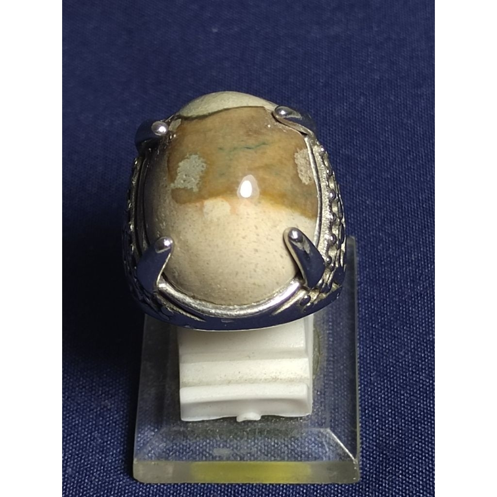 Natural Kelor Petrified Wood / Batu Fosil Kayu Kelor, 1