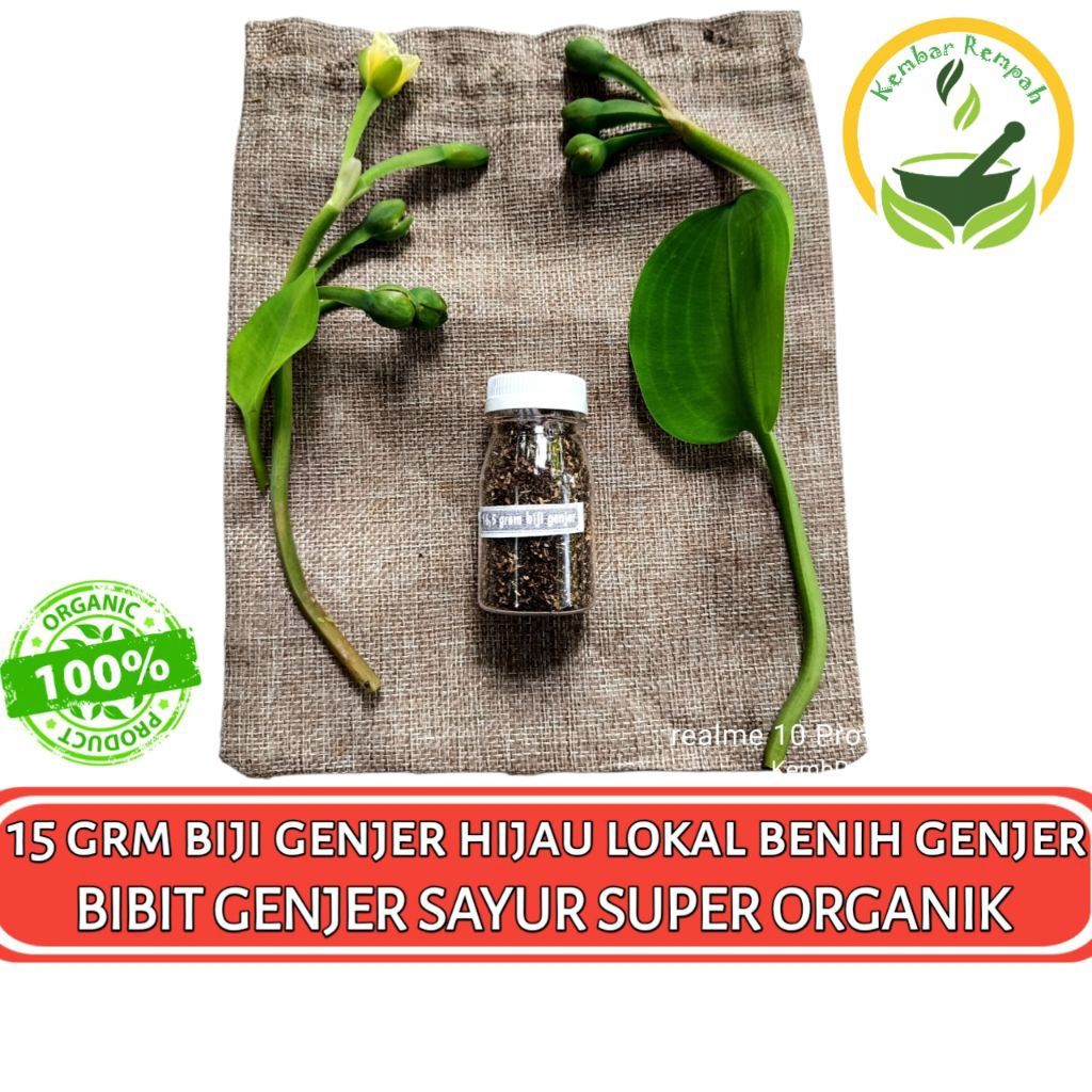 15 GRAM BENIH GENJER SAYUR Biji Genjer Bibit Genjer Hijau Lokal Organik