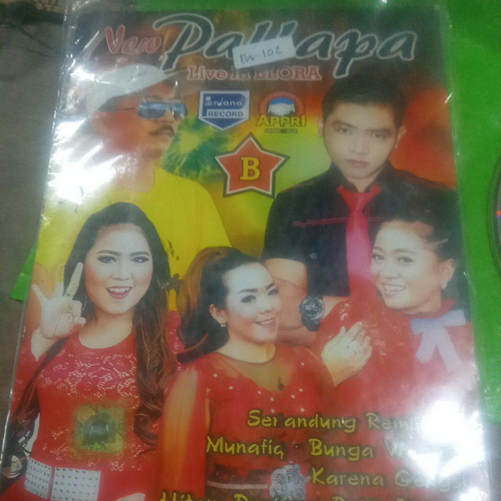 VCD NEW PALLAPA WM29