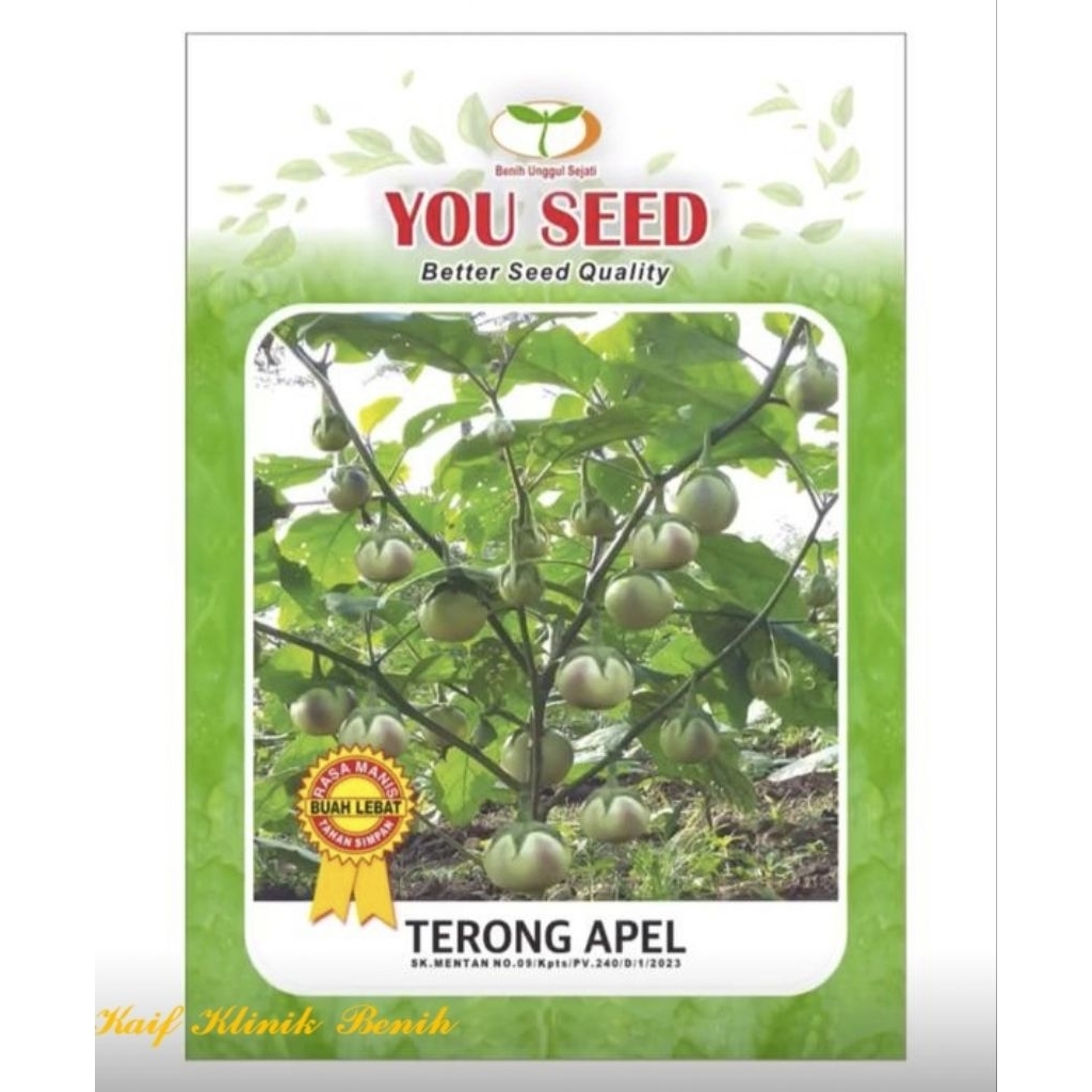 Benih Terong APEL 10gram - Terong Lalap Apel Cap You Seed