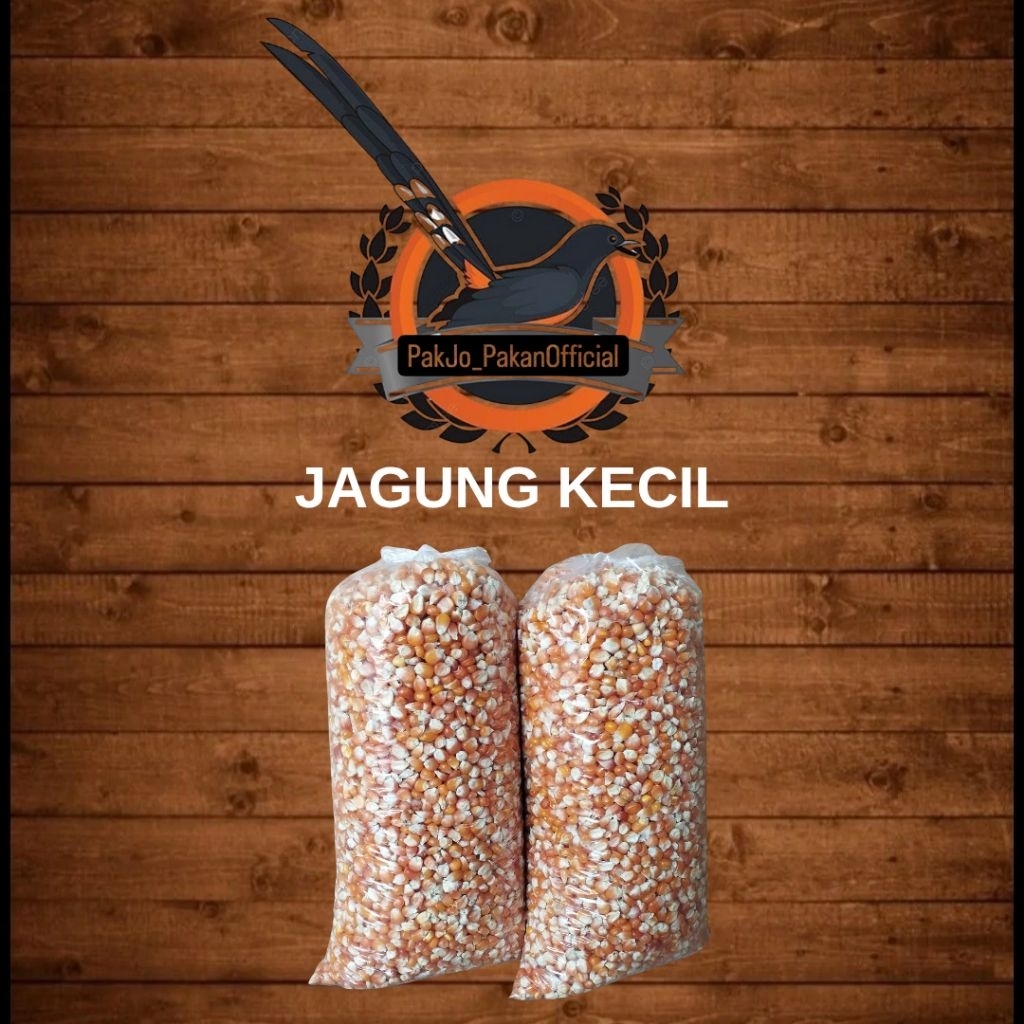 JAGUNG KECIL MURAH JAGUNG PAKAN DORO, JAGUNG PAKAN AYAM, JAGUNG MURAH, JAGUNG BAGUS