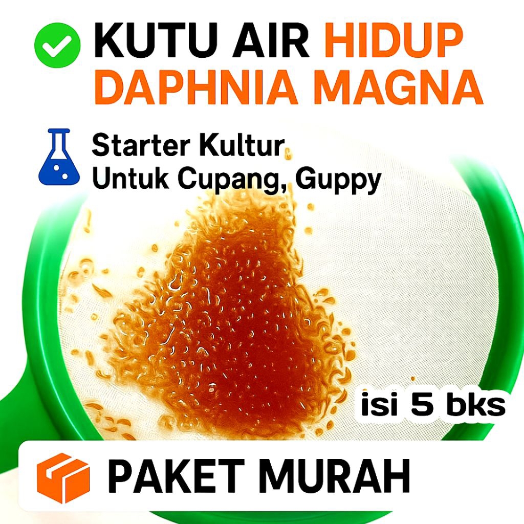 Paket Murah Kutu Air Daphnia Magna –  starter Pakan Cupang, Guppy, Channa | Bibit Kultur Ikan Hias