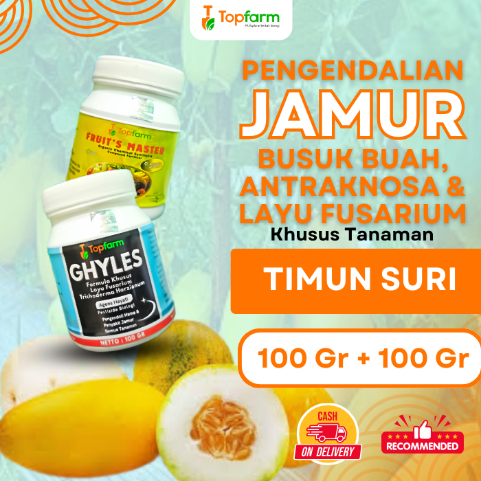 Fungisida Jamur Timun Suri / Obat Jamur Tanaman Timun Suri / Fungisida Pembasmi Jamur Dan Hama Tanam