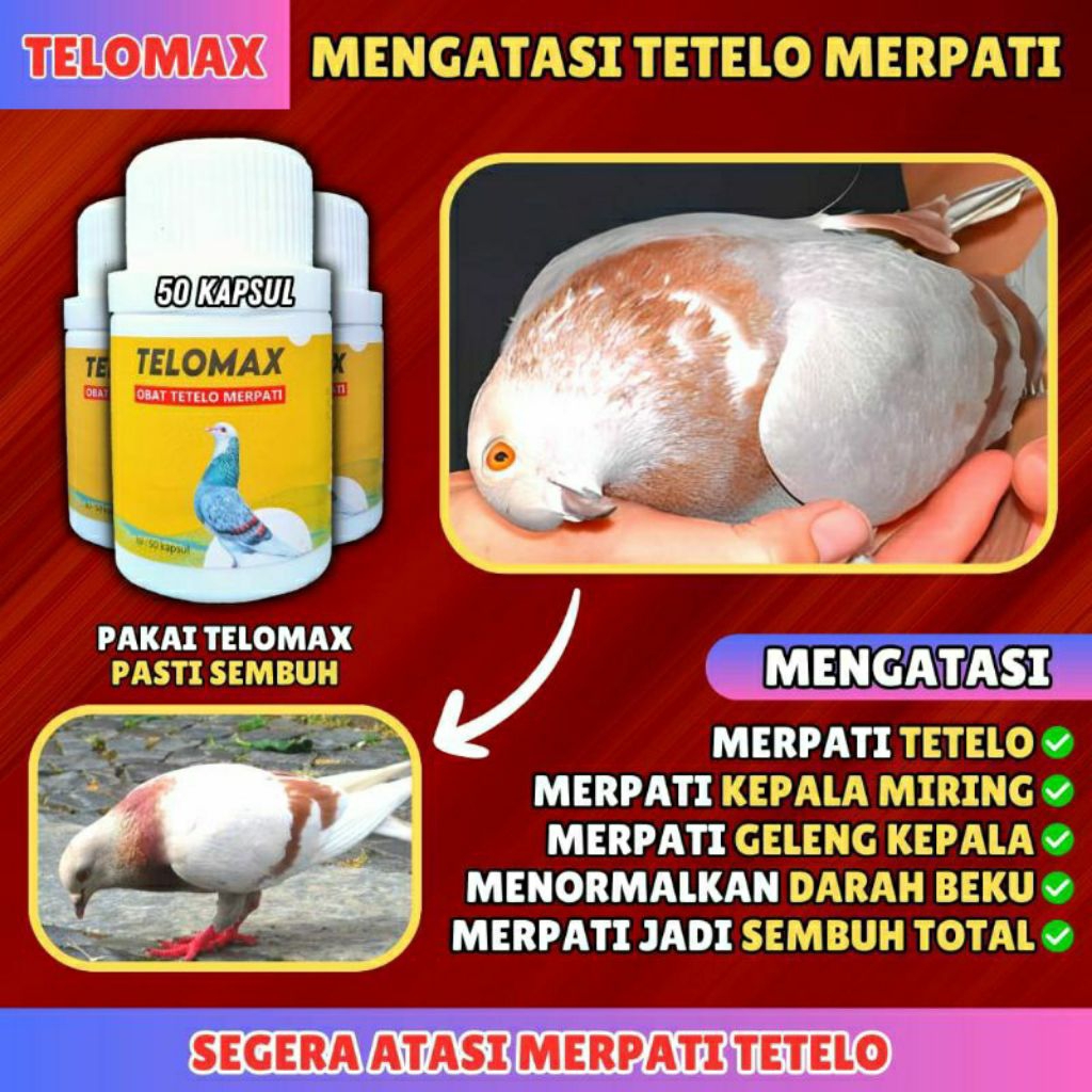 TELOMAX OBAT TELO MERPATI AMPUH BERKHASIAT