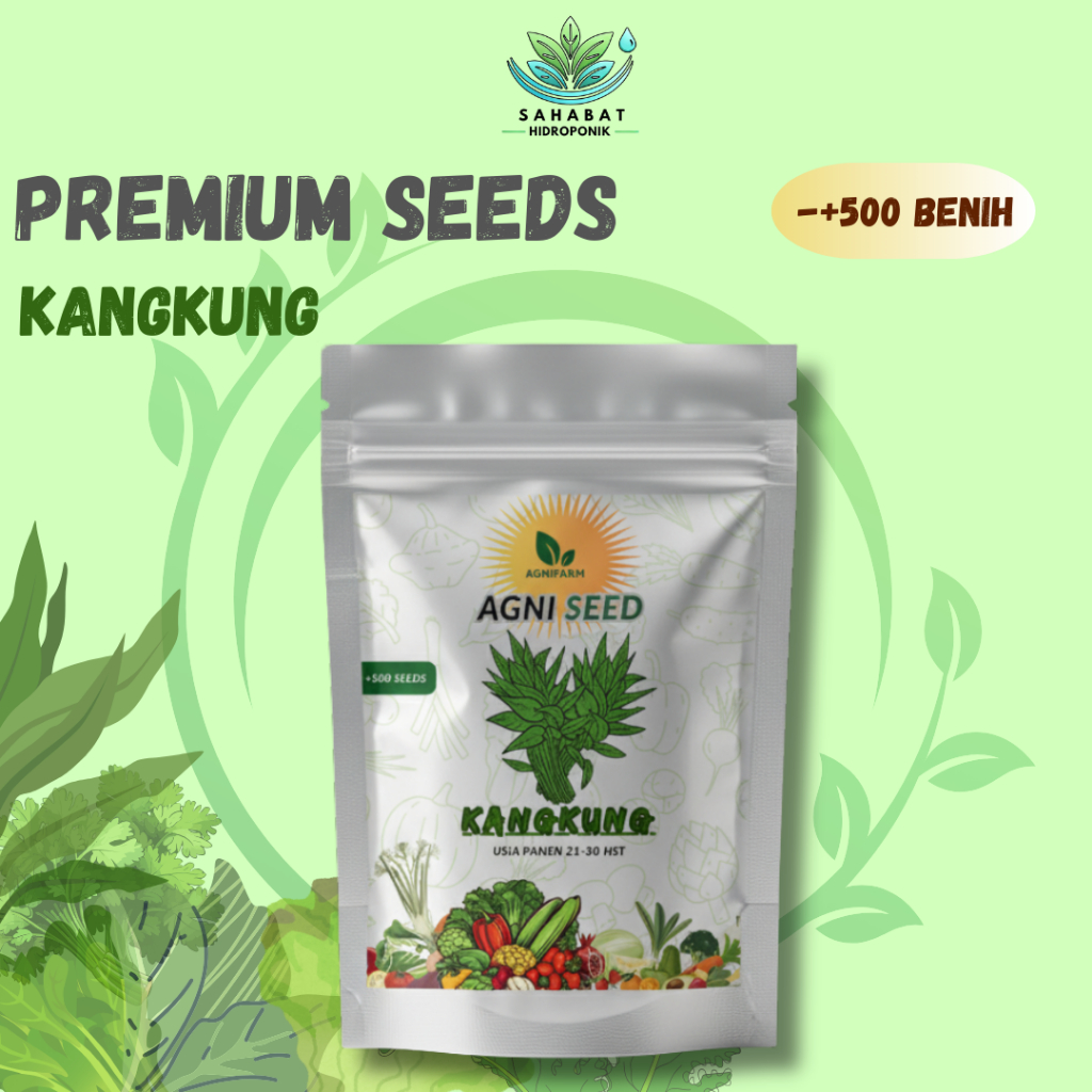 BENIH PREMIUM KANGKUNG BENIH KANGKUNG BENIH KANGKUNG CABUT BENIH KANGKUNG DAUN LEBAR
