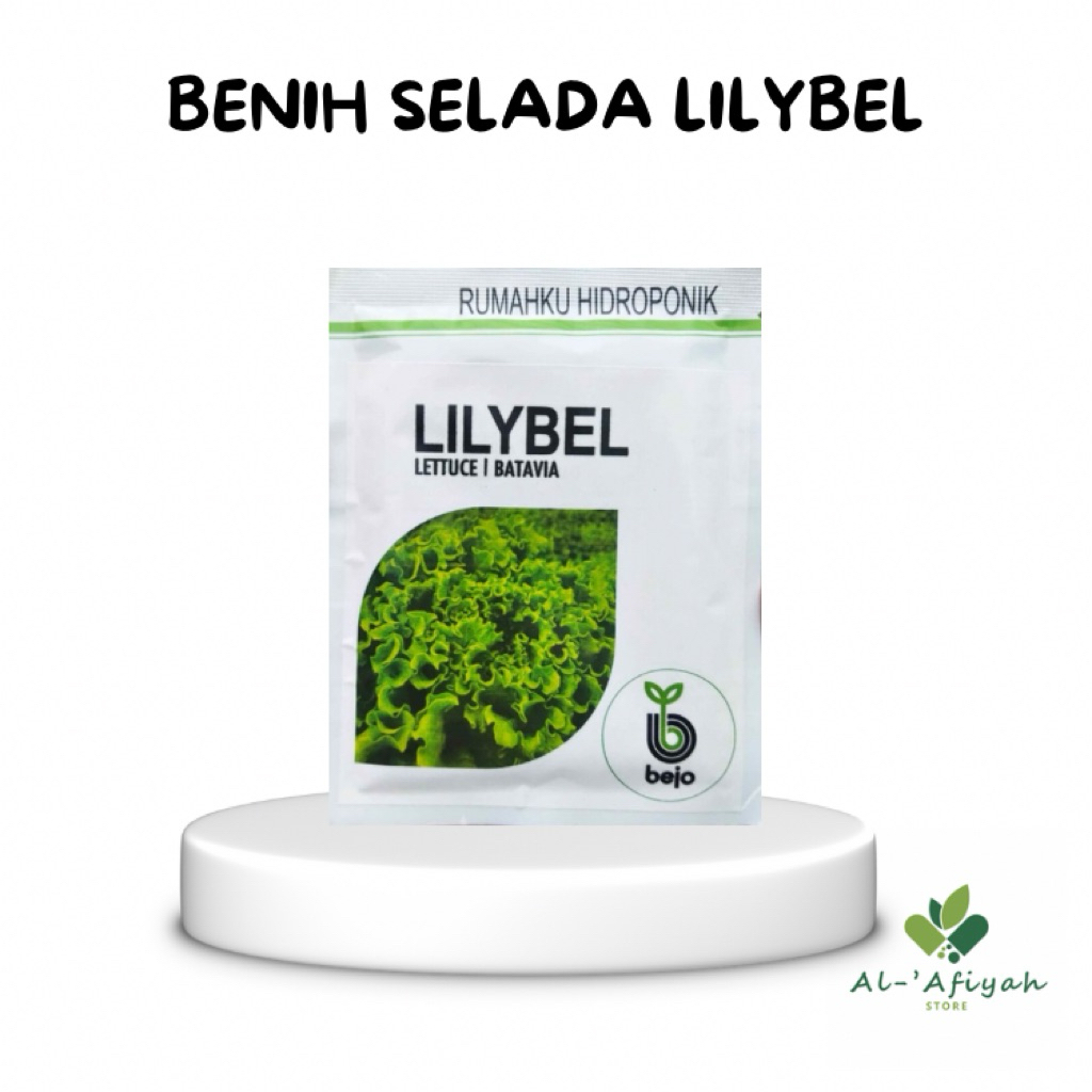 Benih Selada Lilybel Bejo Seed 1000 pils