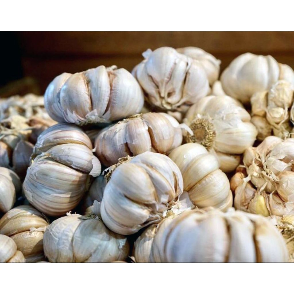 Bawang Putih 1KG | Grosir Honan/Sinco - Rumsmart