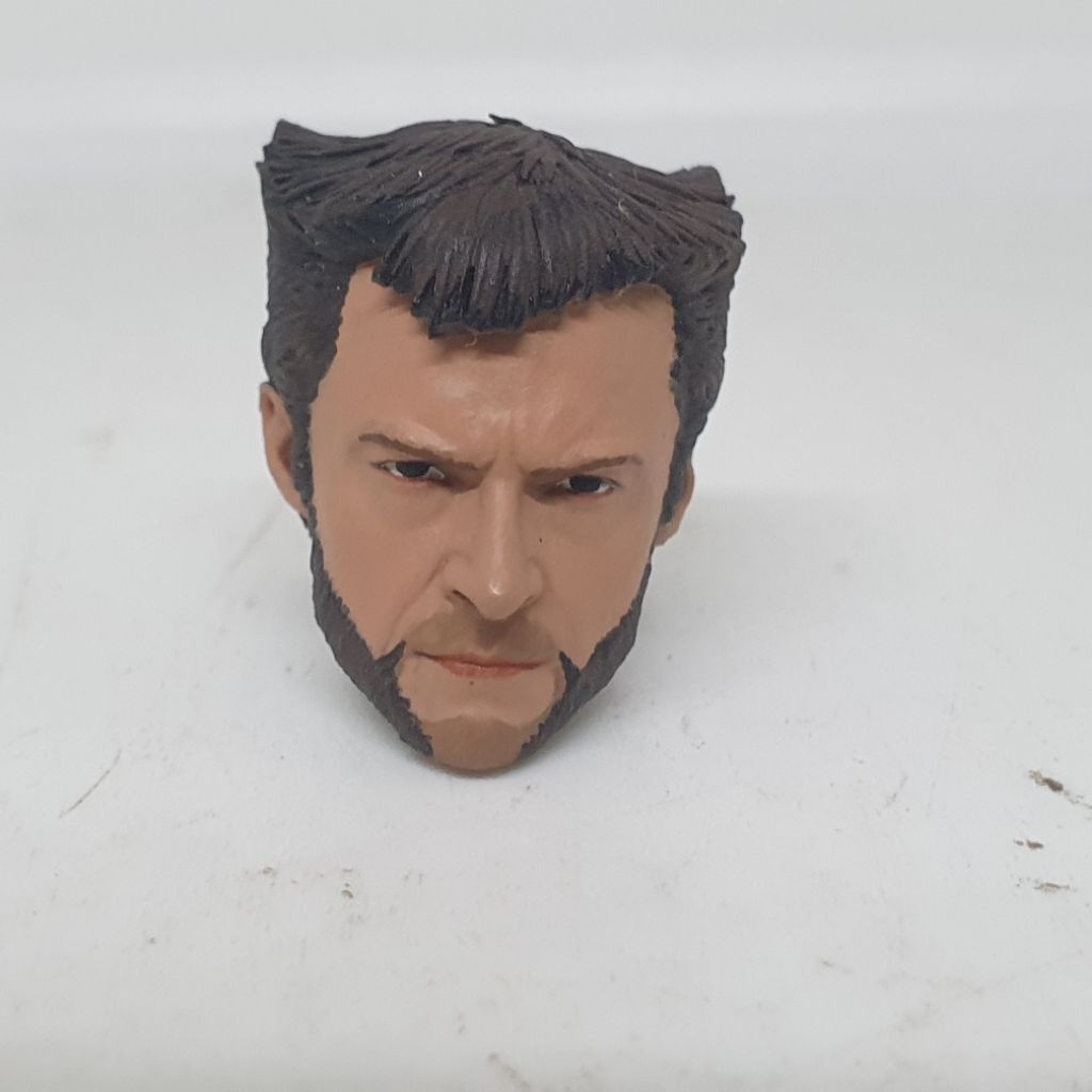 3D Print Head HS Marvel Logan Hugh Jackman X Men Deadpool and Wolverine Movie kitbash 1/12