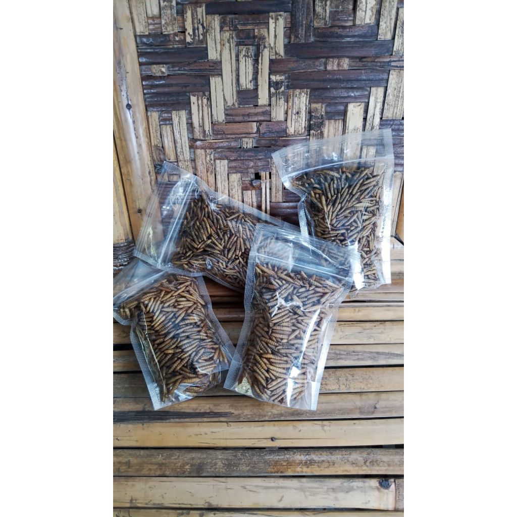 Maggot BSF kering 100 gram