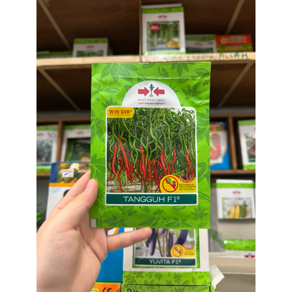 Tangguh F1 bibit cabai cap panah merah